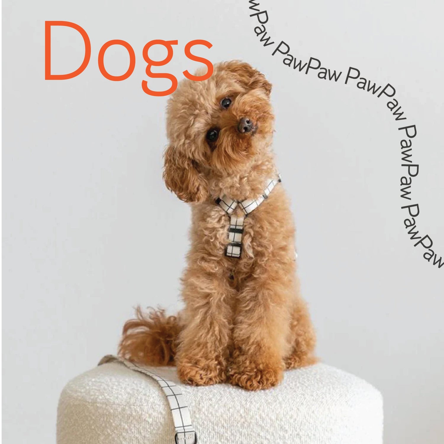 For dogs