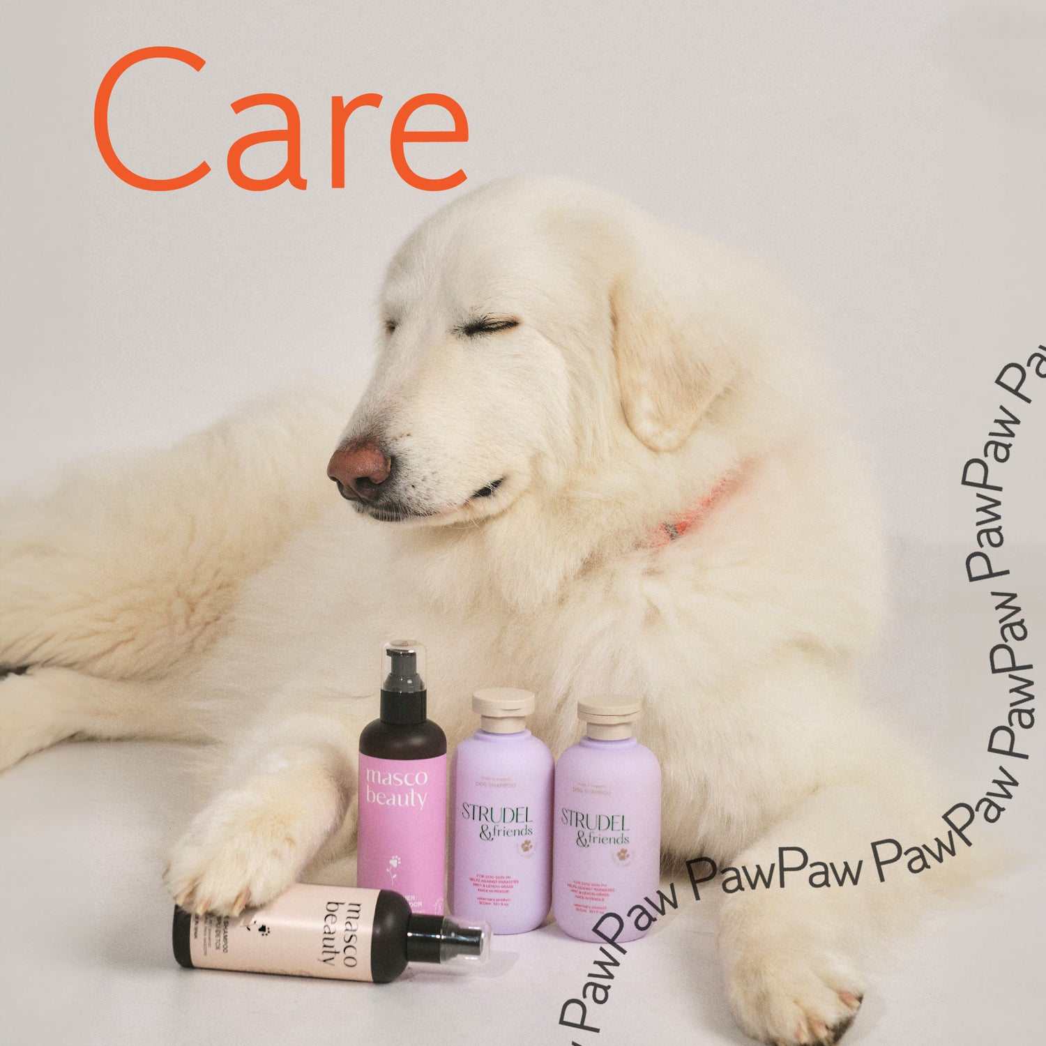 Care