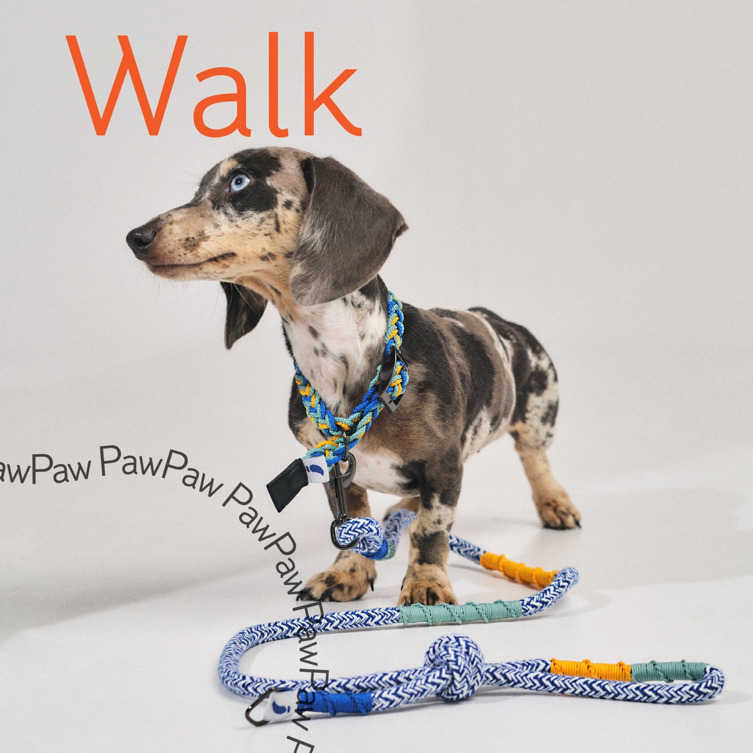 Walk