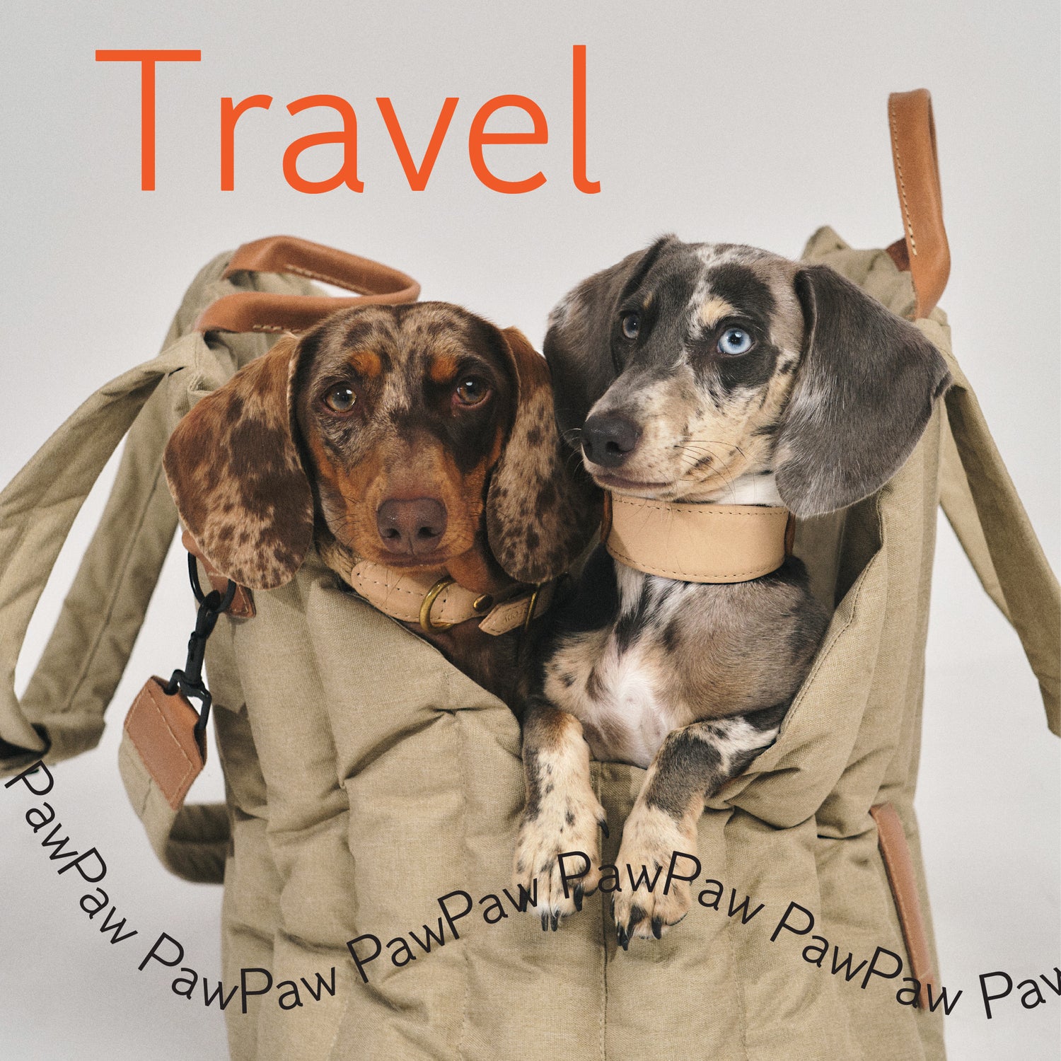 Travel