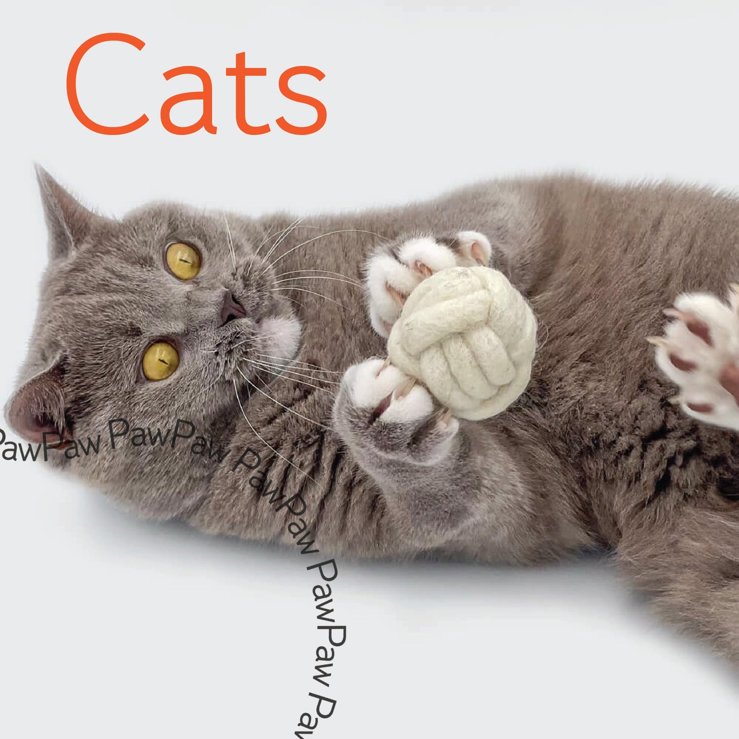 For cats