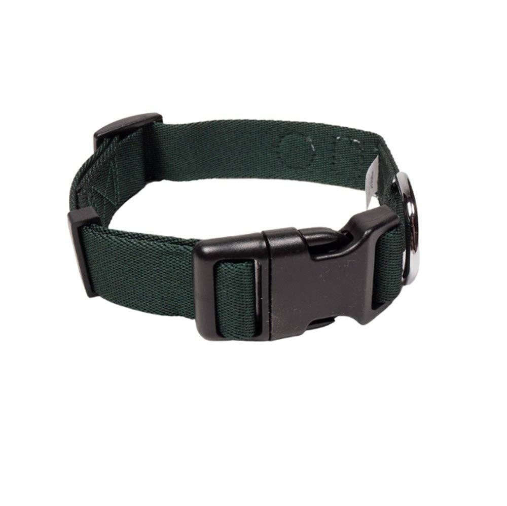 Collar de perro de hoja perenne