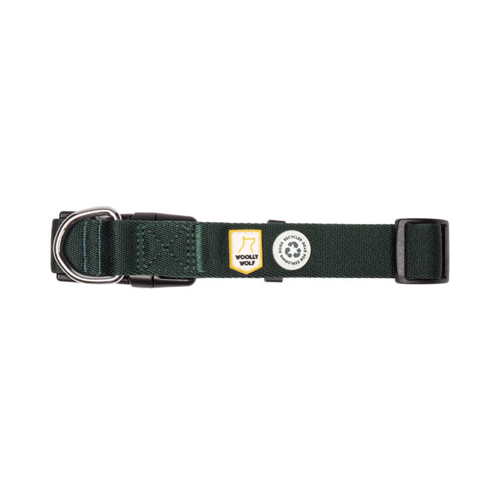 Collar de perro de hoja perenne