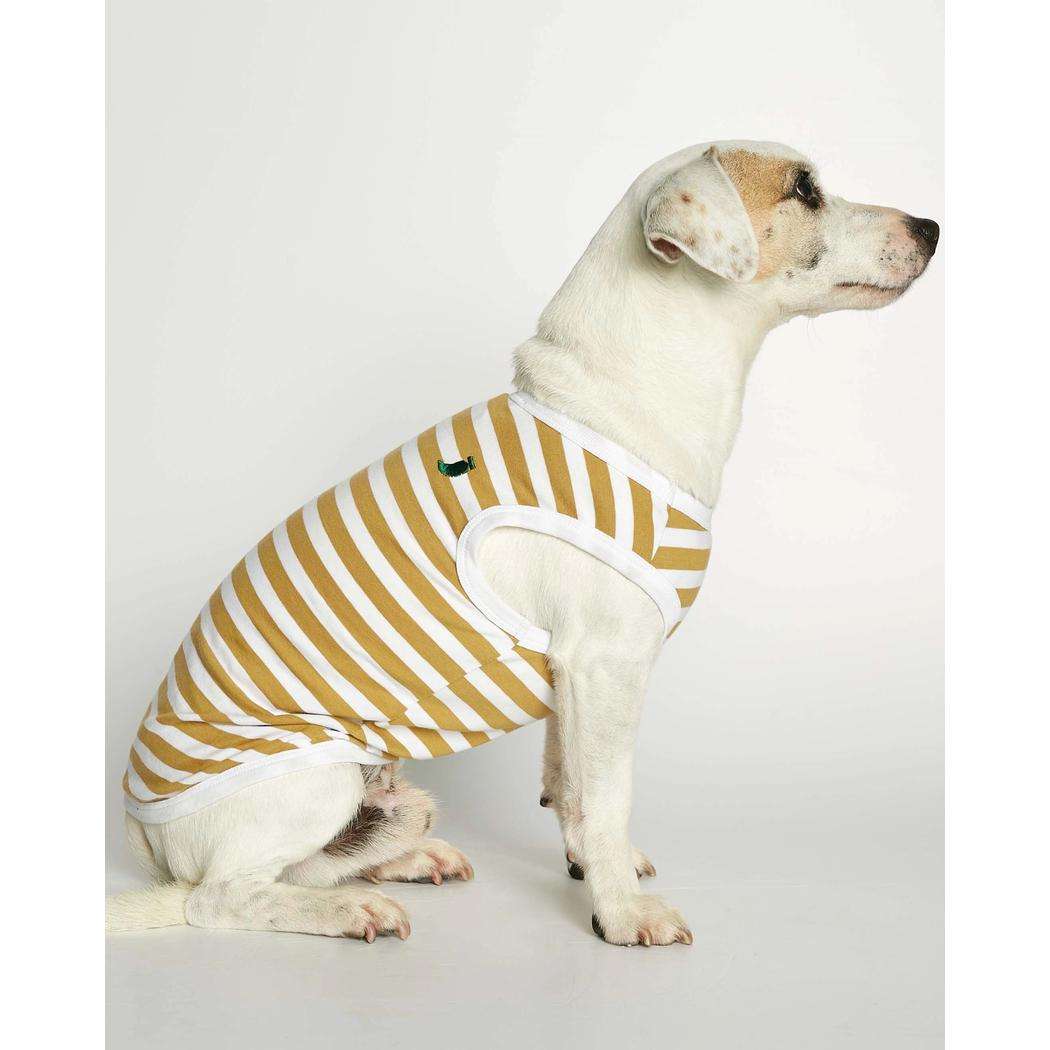 Daniel Dog Bodysuit Vest