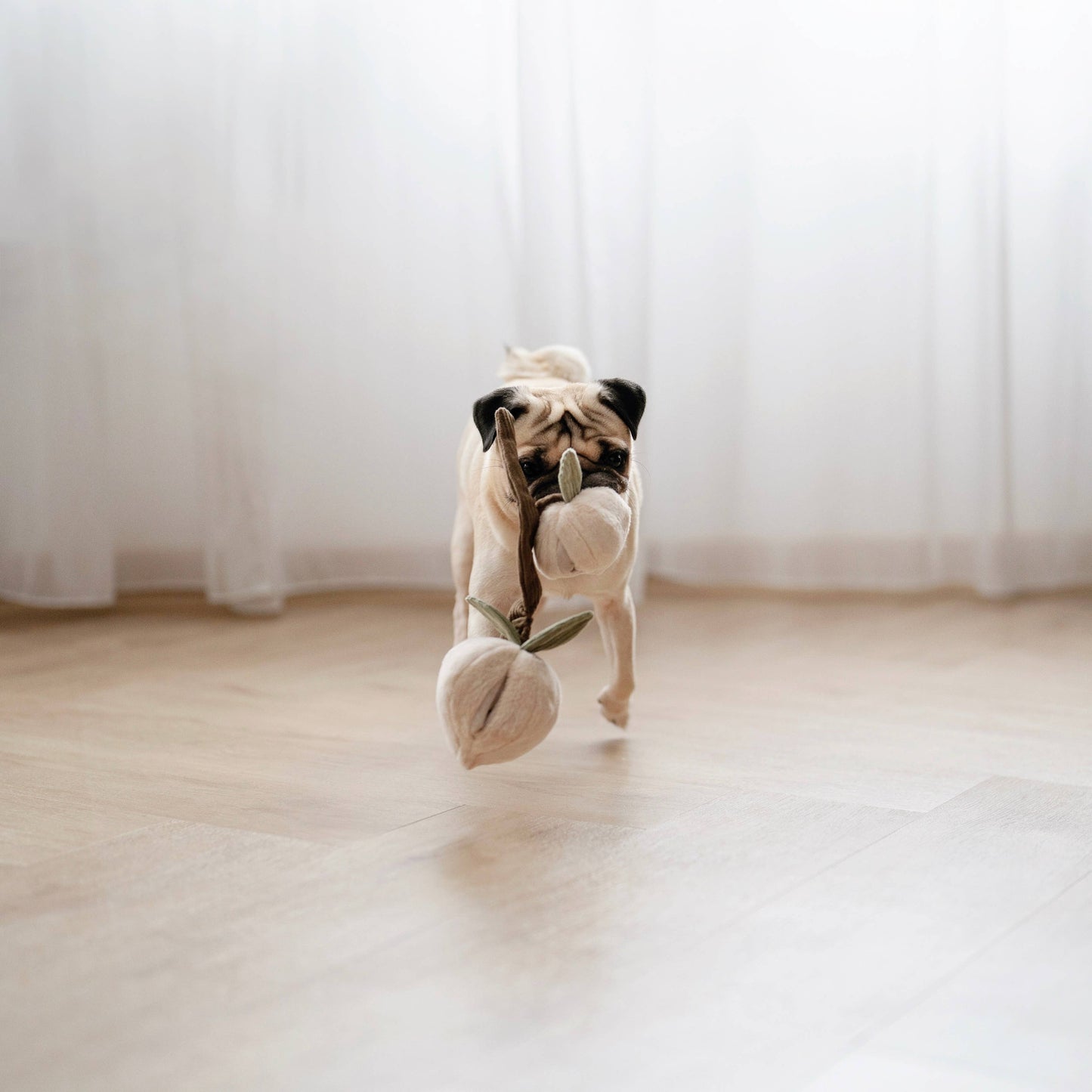 Enrichment Dog Toy Peaches