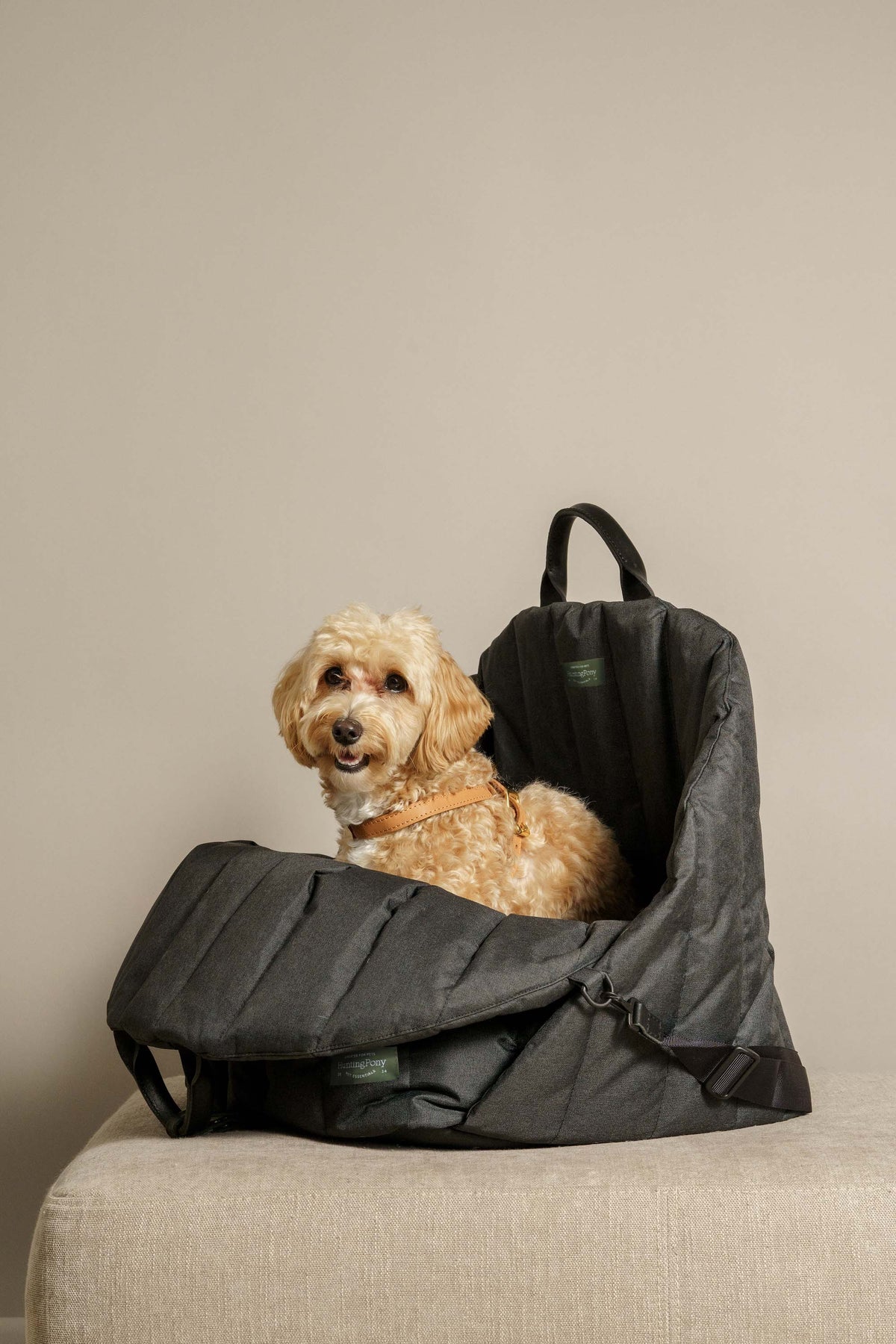 Car Seat for Dogs