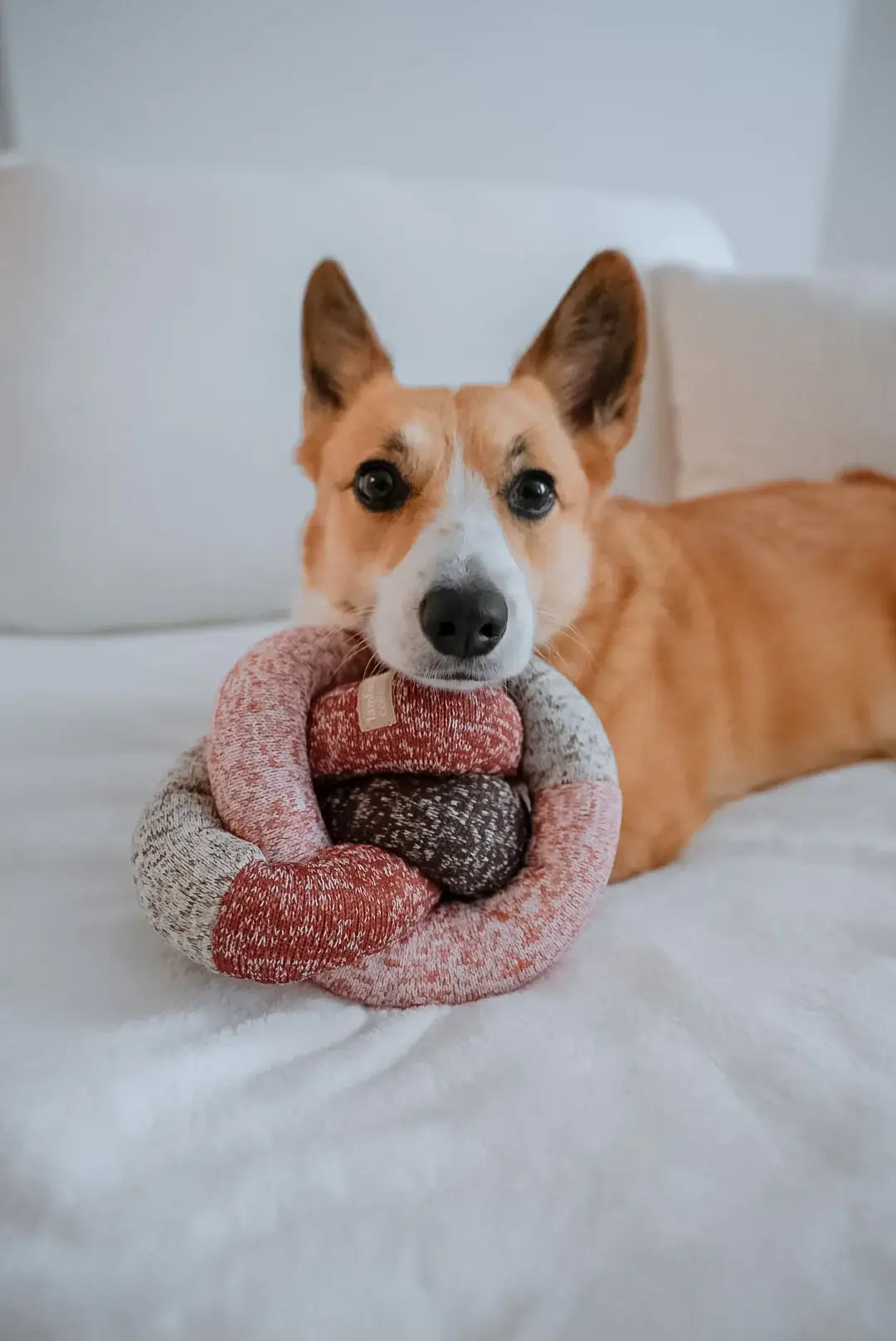 Juguete Enriquecedor para Perros Nou