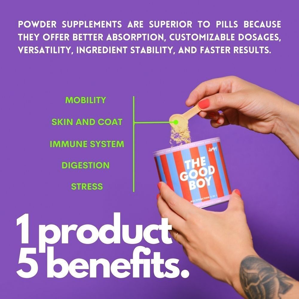 The Good Boy - Powder multivitamínico