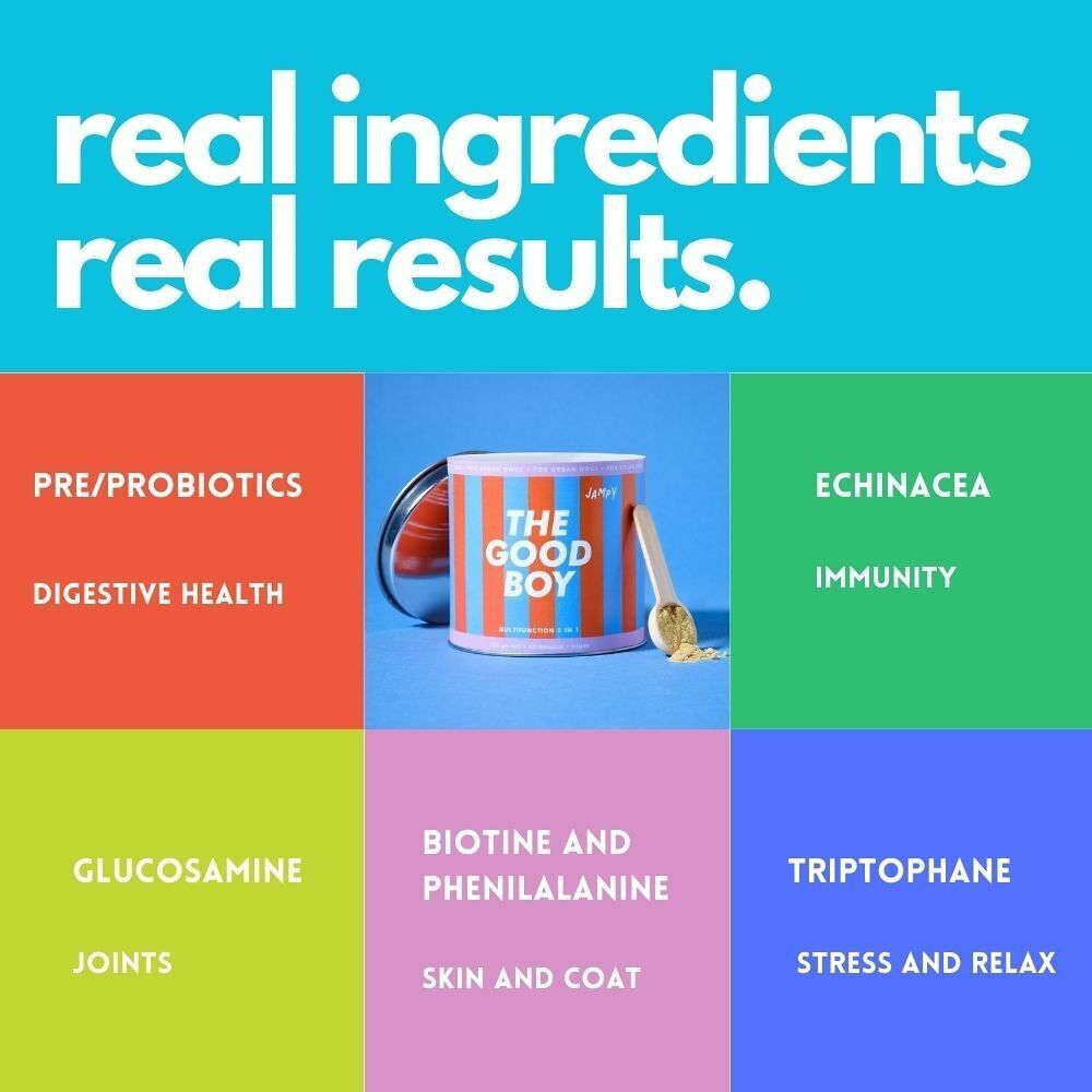 The Good Boy - Powder multivitamínico
