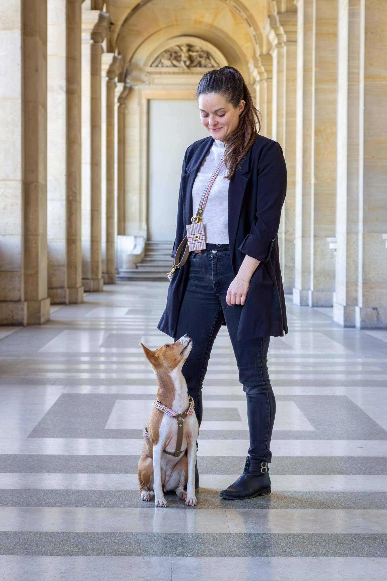 Baron dog harness
