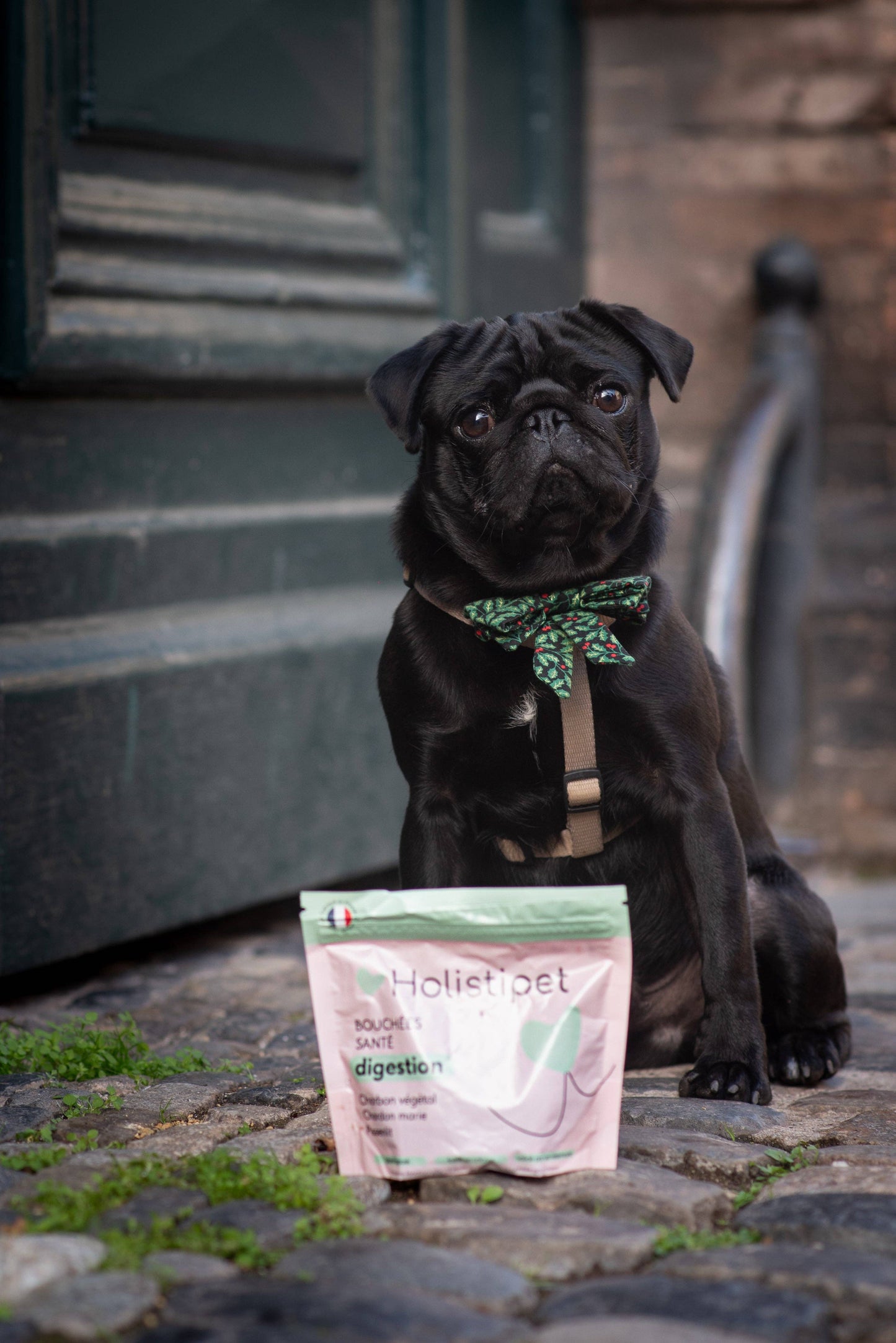 Healthy Digestion Bites