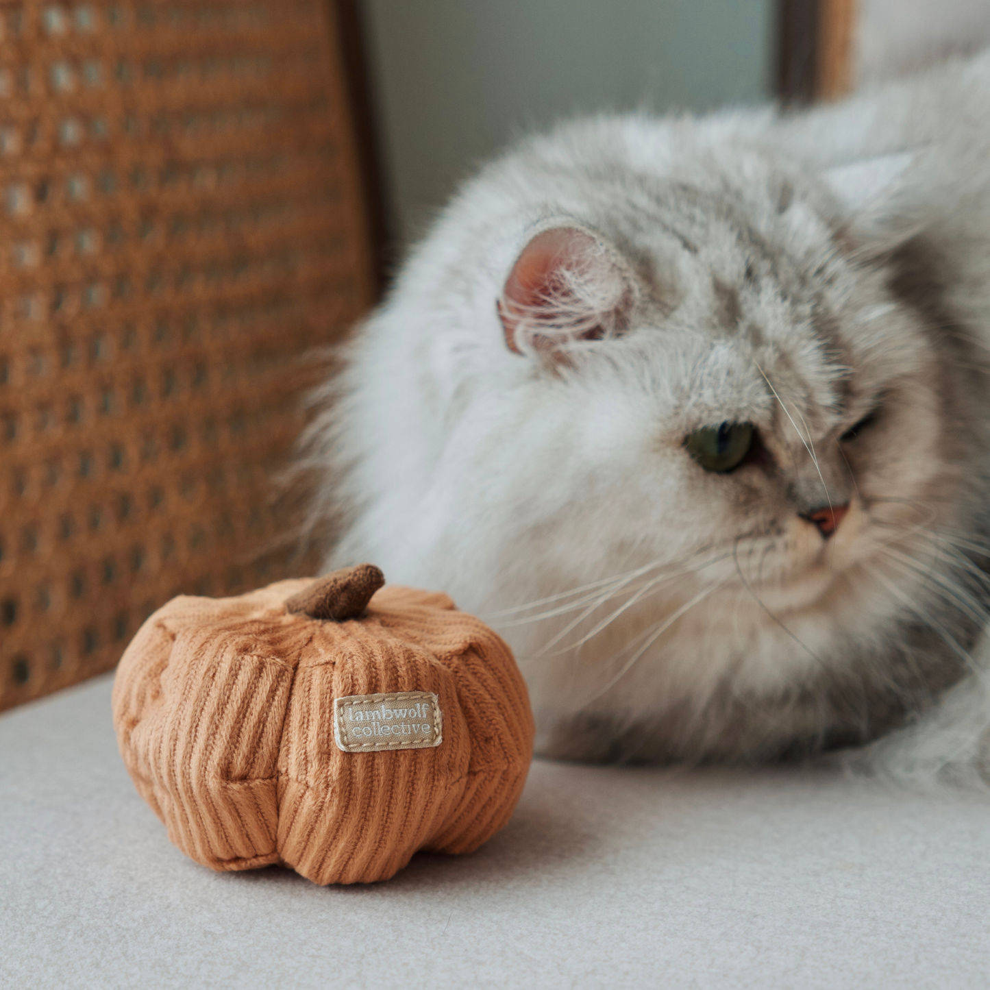 Enrichment Cat Toy Veggies
