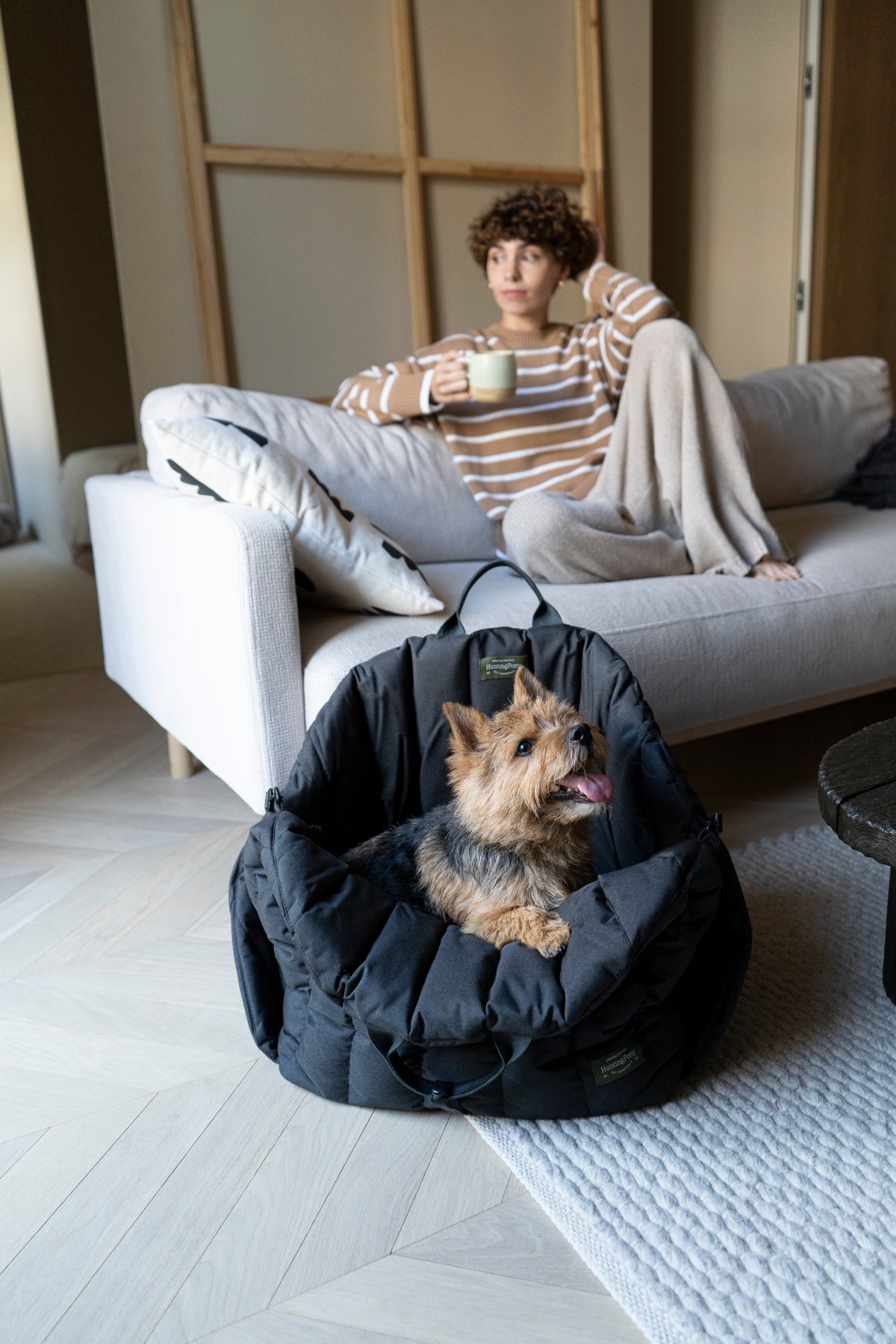 Car Seat for Dogs