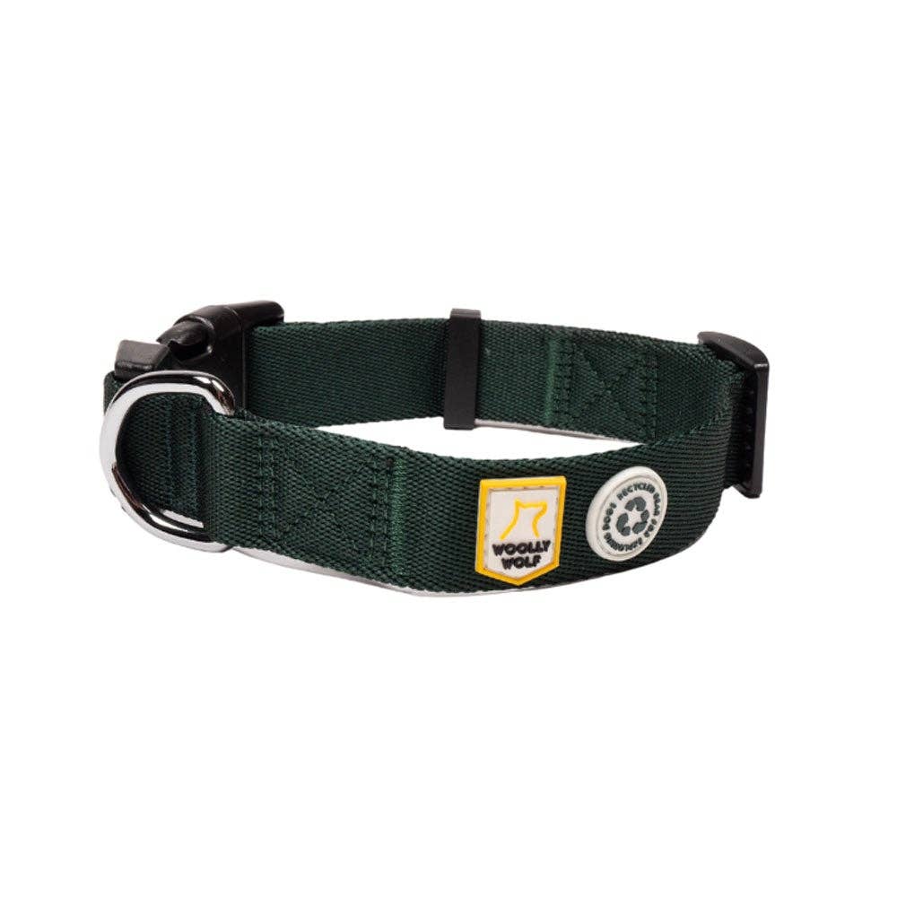 Collar de perro de hoja perenne