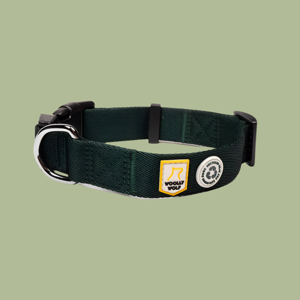 Collar de perro de hoja perenne