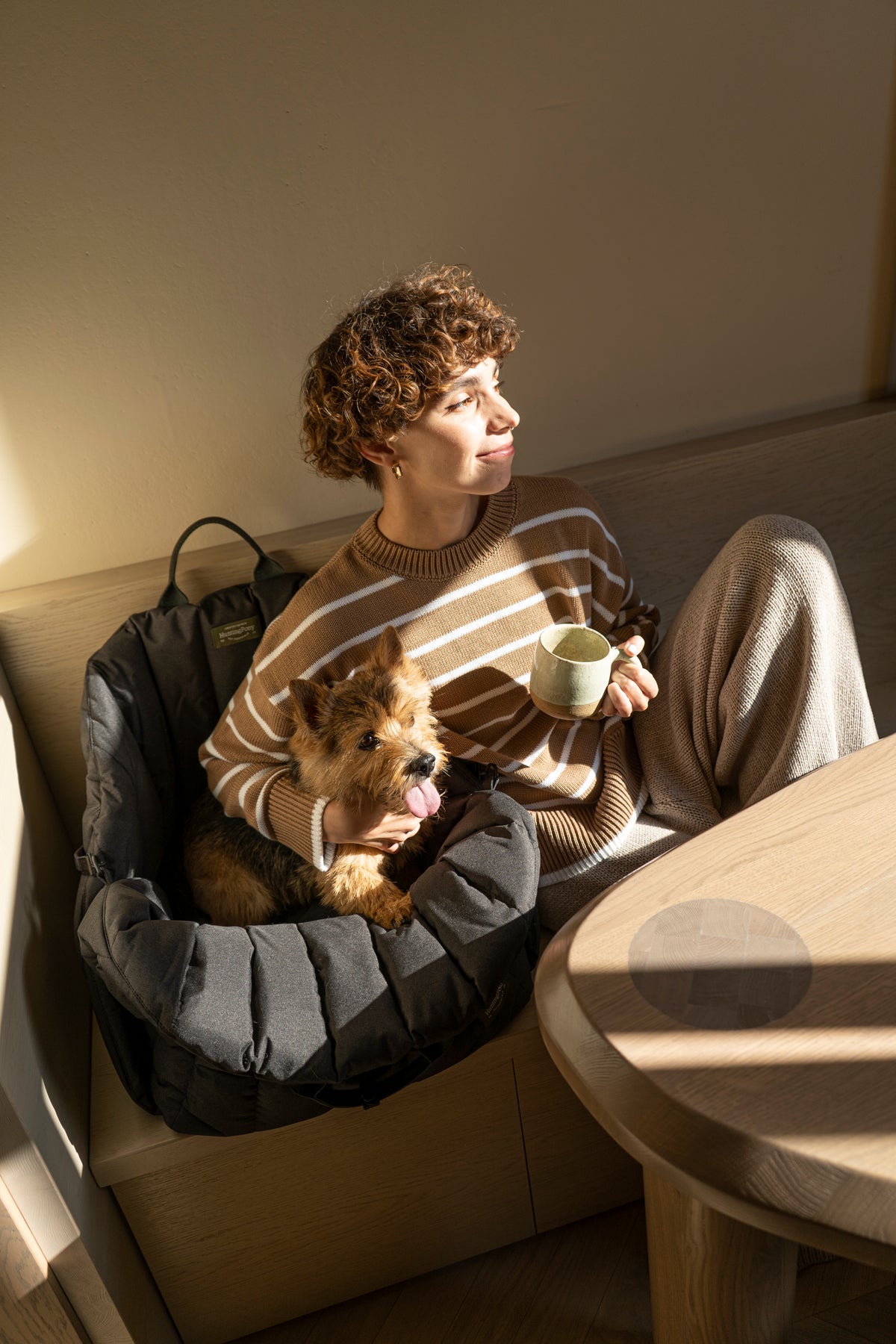 Car Seat for Dogs
