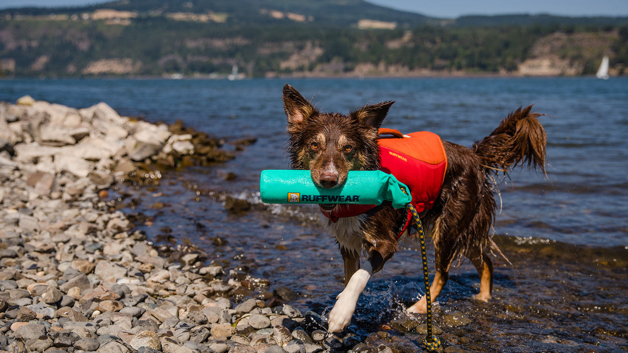 Floating Throw Toy Lunker