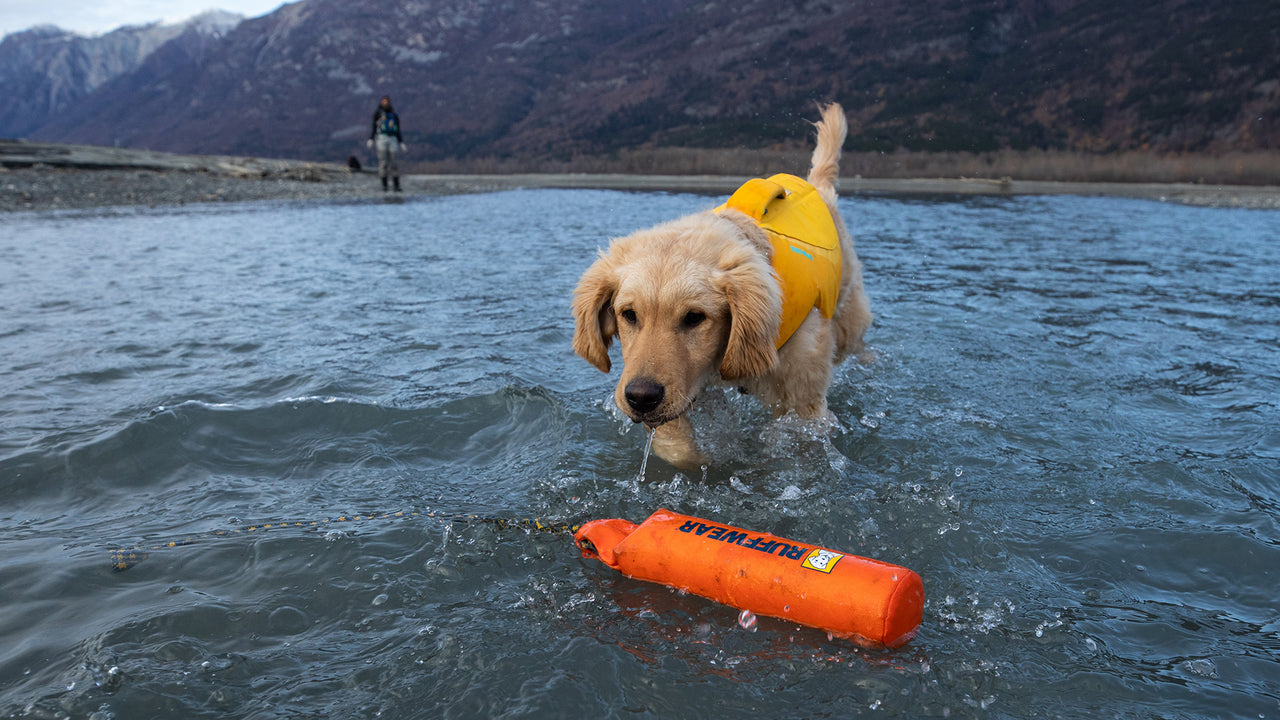 Floating Throw Toy Lunker