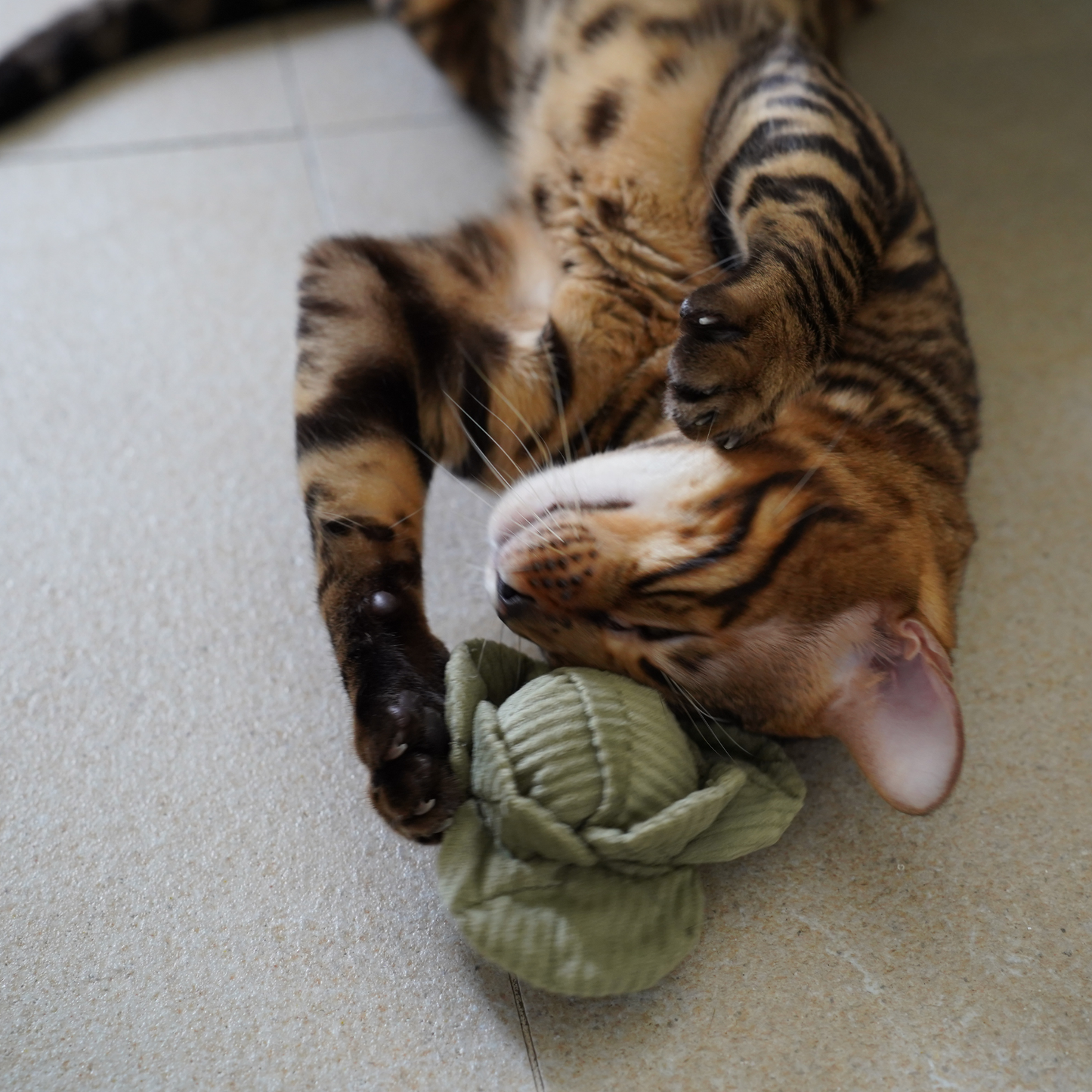 Enrichment Cat Toy Veggies