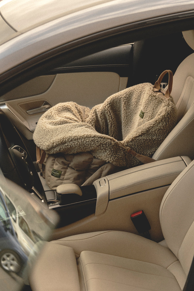 Car Seat for Dogs