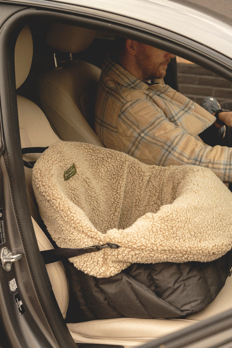 Car Seat for Dogs