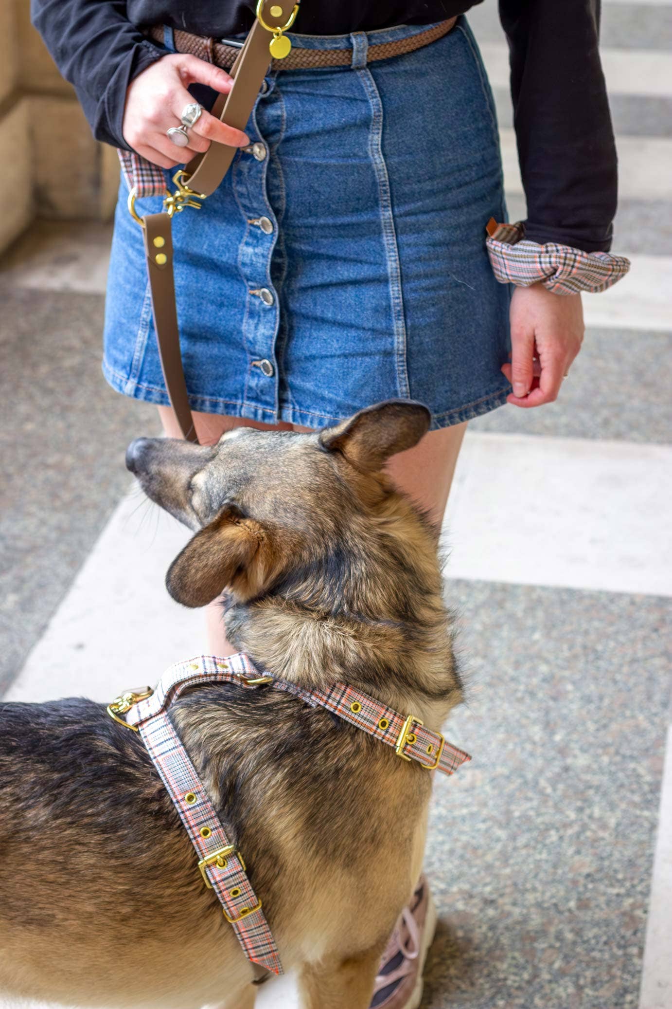 Baron dog harness