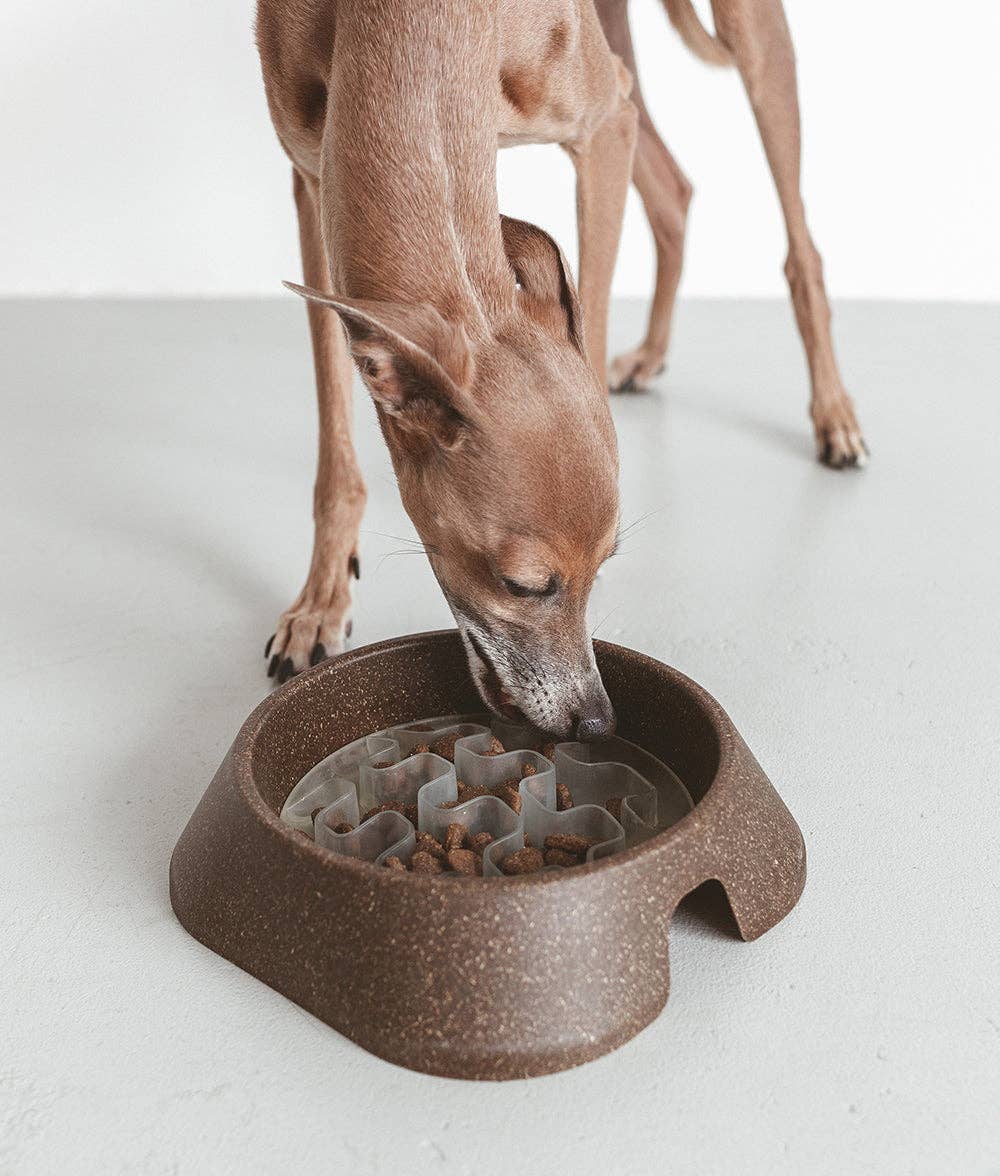 Tazón de bioplástico de maíz Eaty