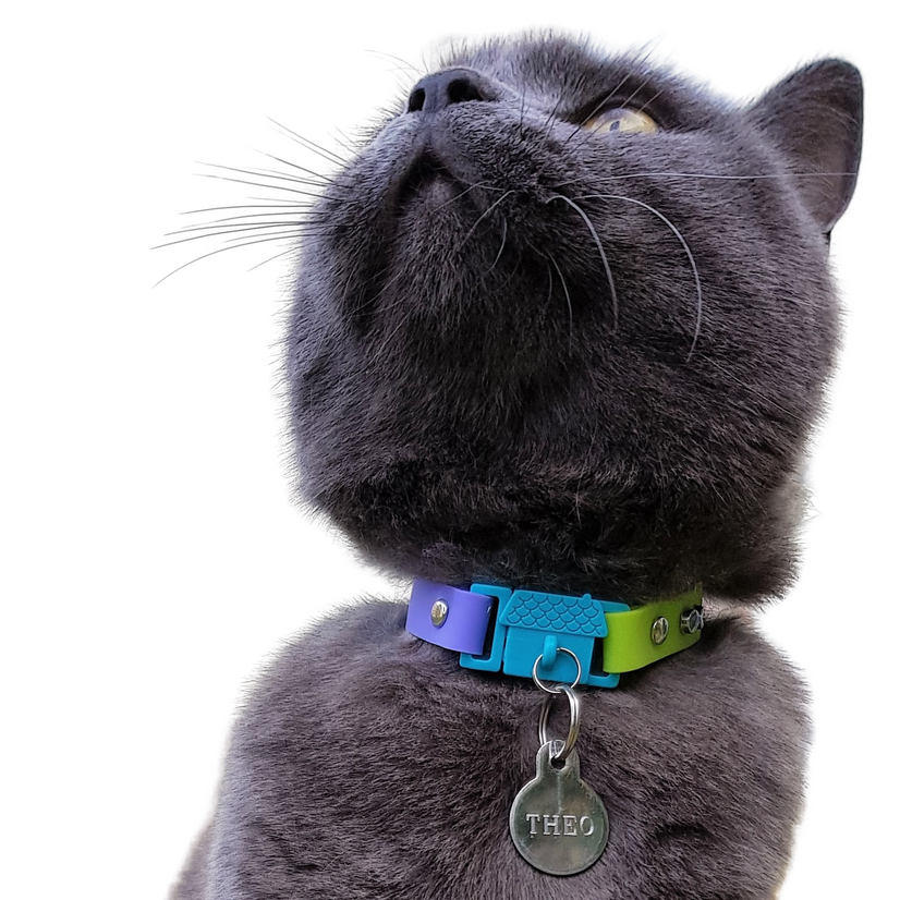 Cat Collar