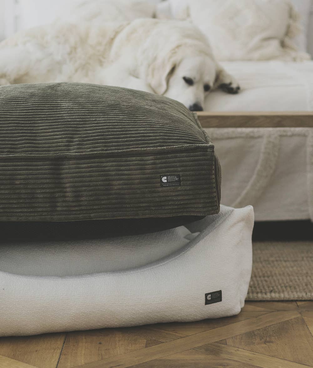 Cama ortopédica cuadrada para perros