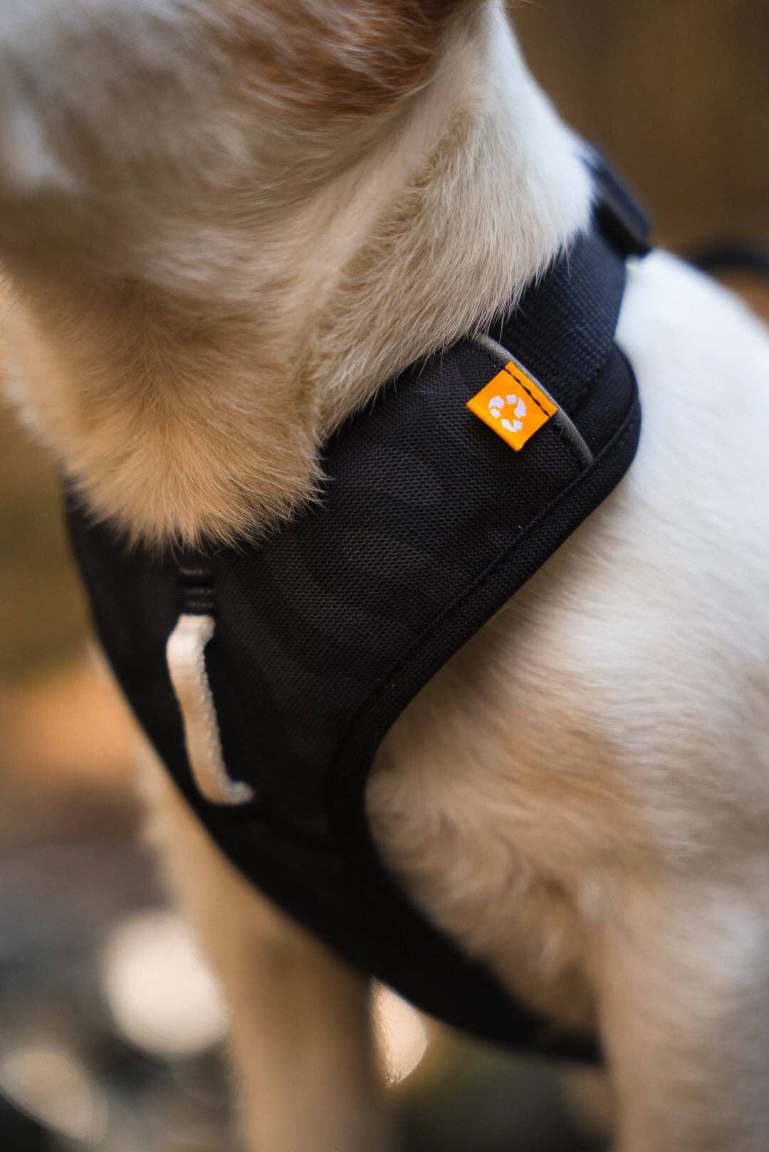 Roam Dog Harness