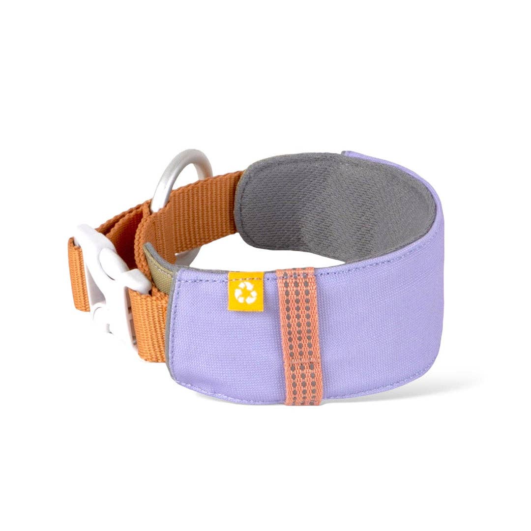Alpha Dog Collar