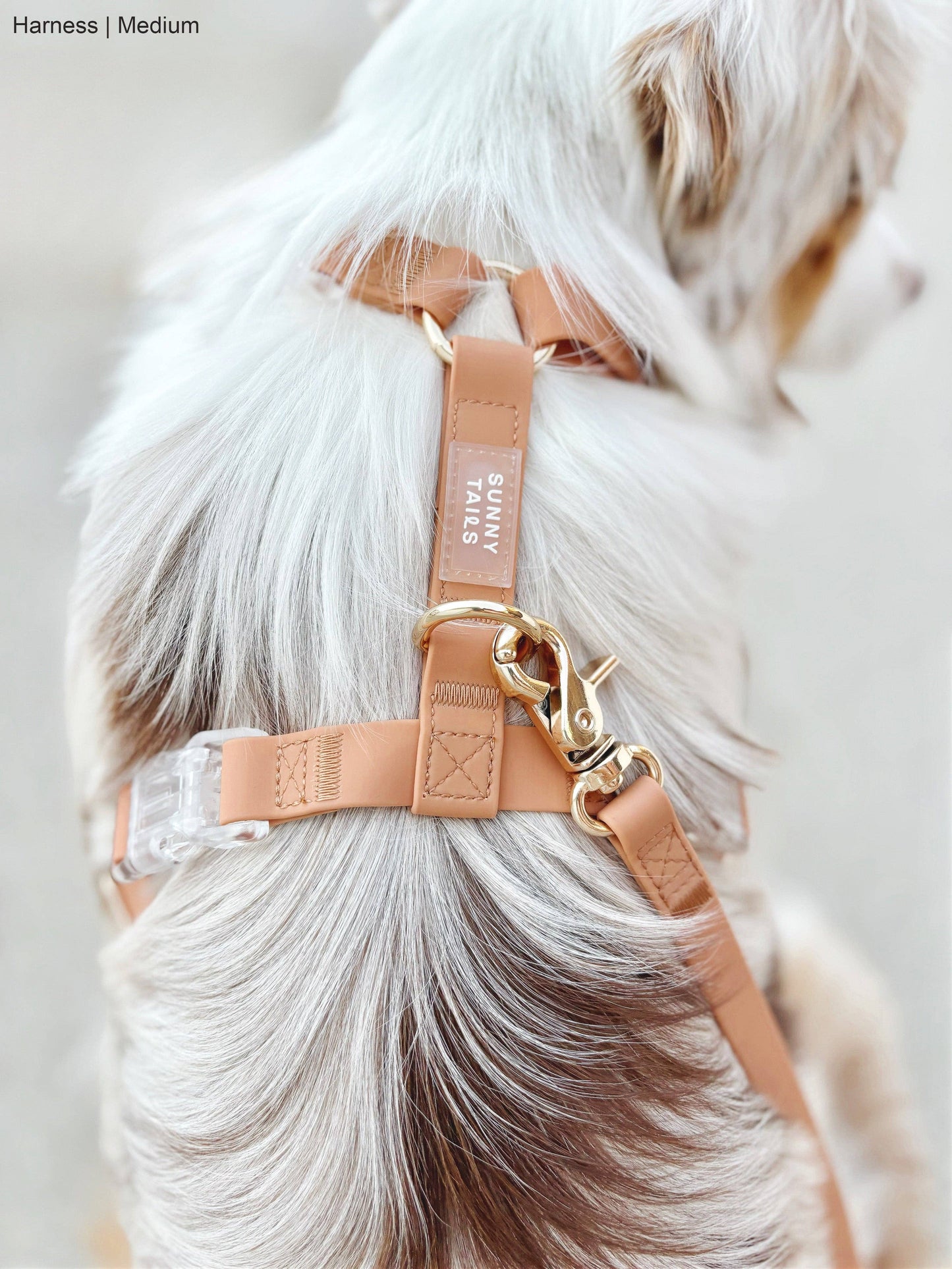 Harnais pour chien léger