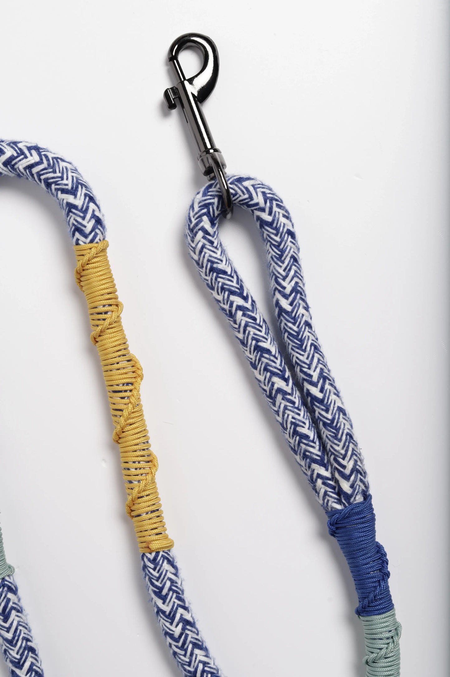 Laisse pour chien classique Corme