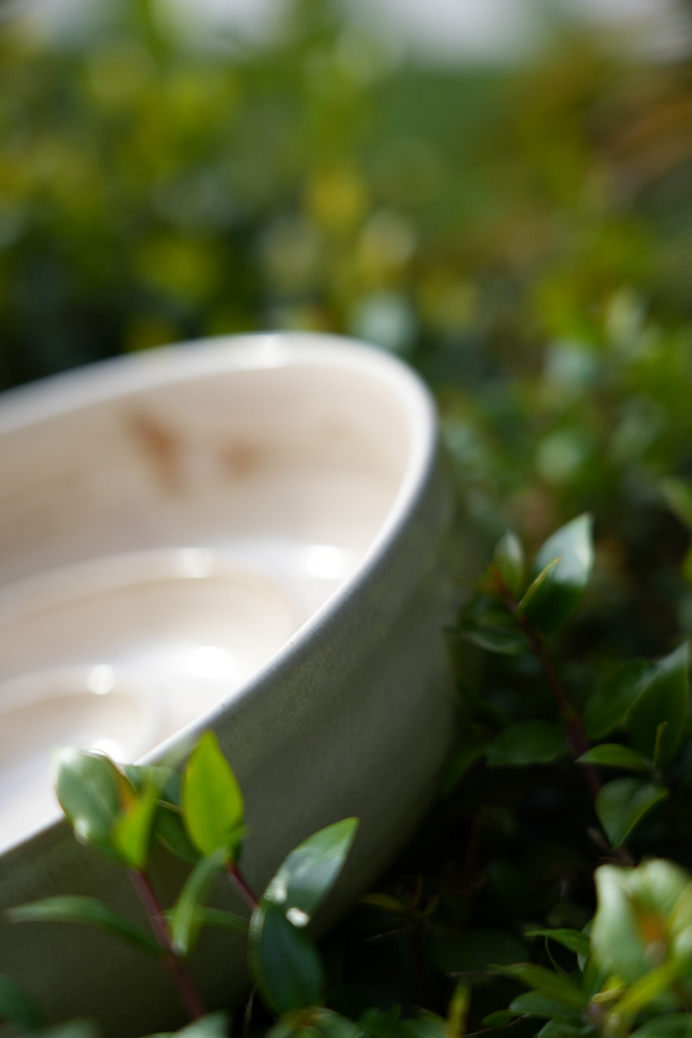 Handmade Ceramic Dog Slow Feeder Bowl by PawPaw