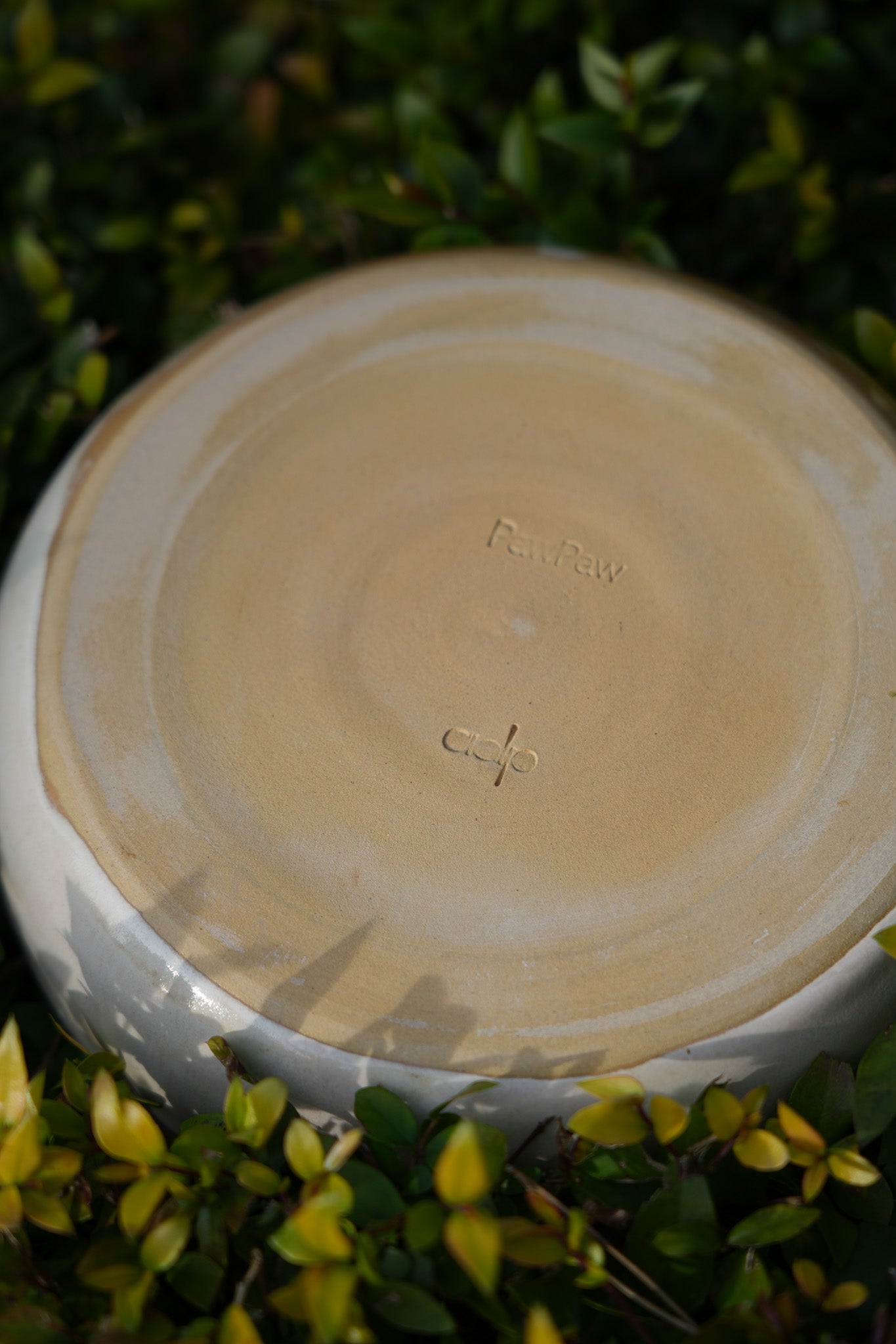 Handmade Ceramic Dog Slow Feeder Bowl by PawPaw