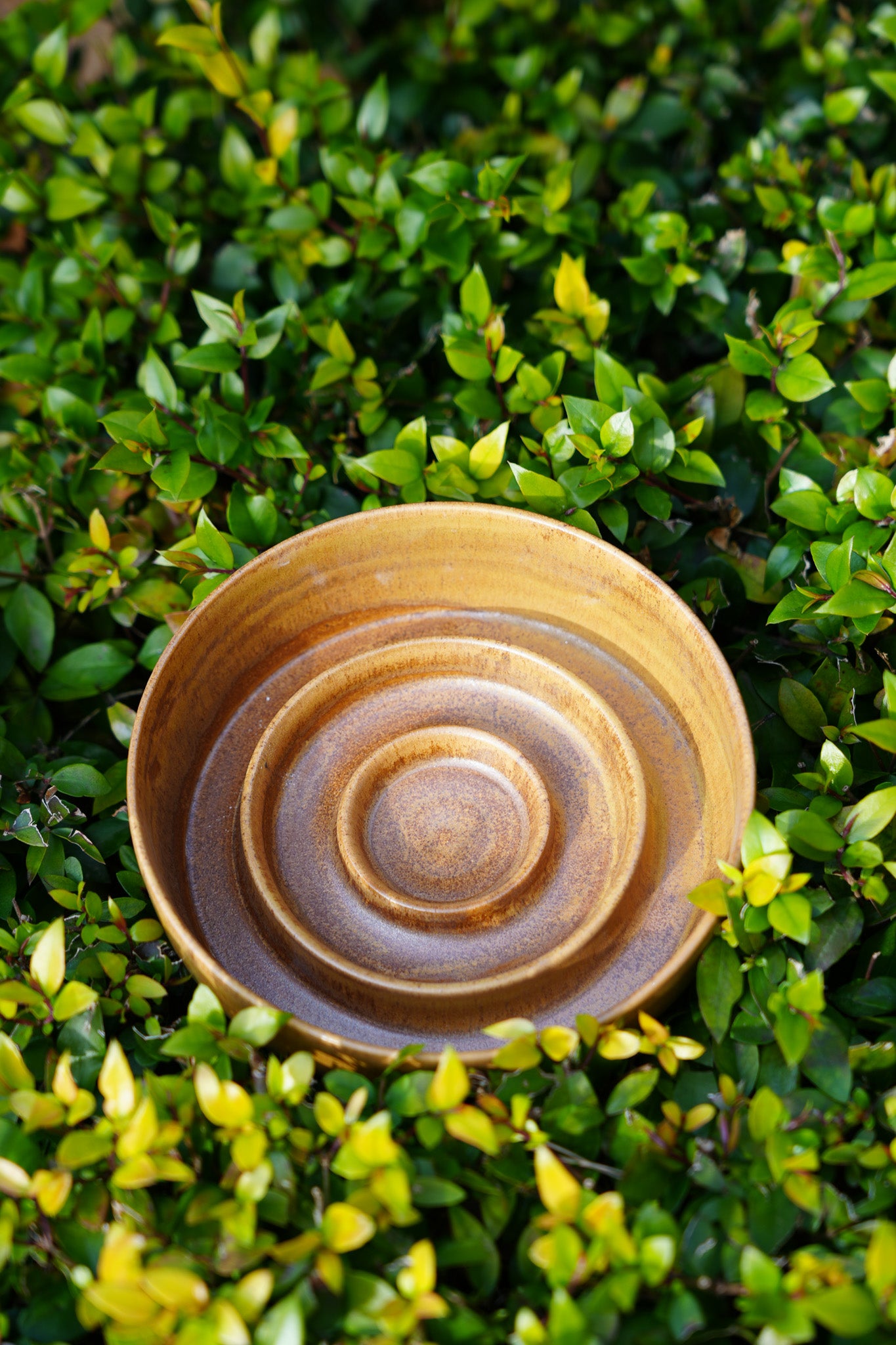 Handmade Ceramic Dog Slow Feeder Bowl by PawPaw