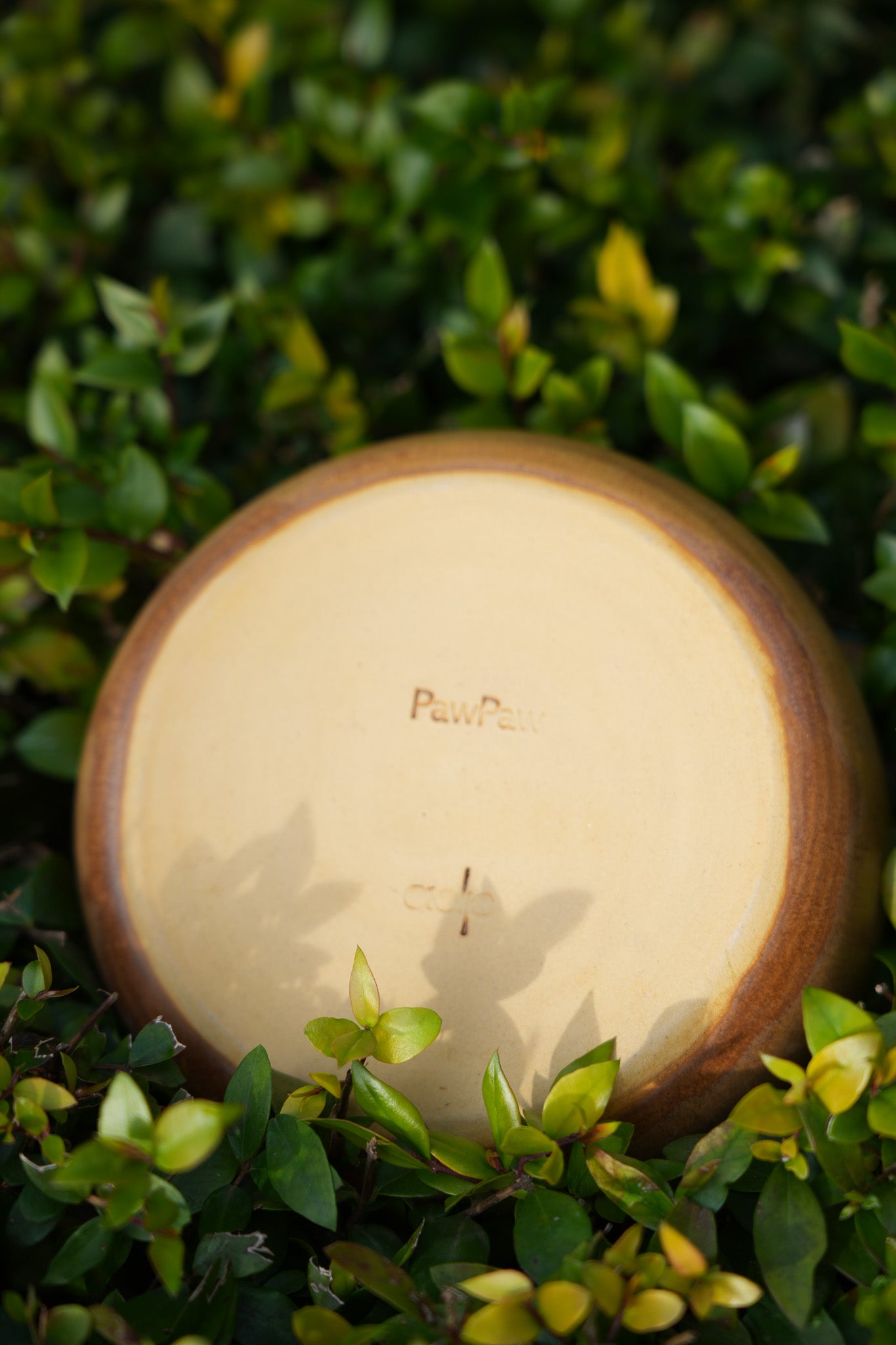 Handmade Ceramic Dog Slow Feeder Bowl by PawPaw