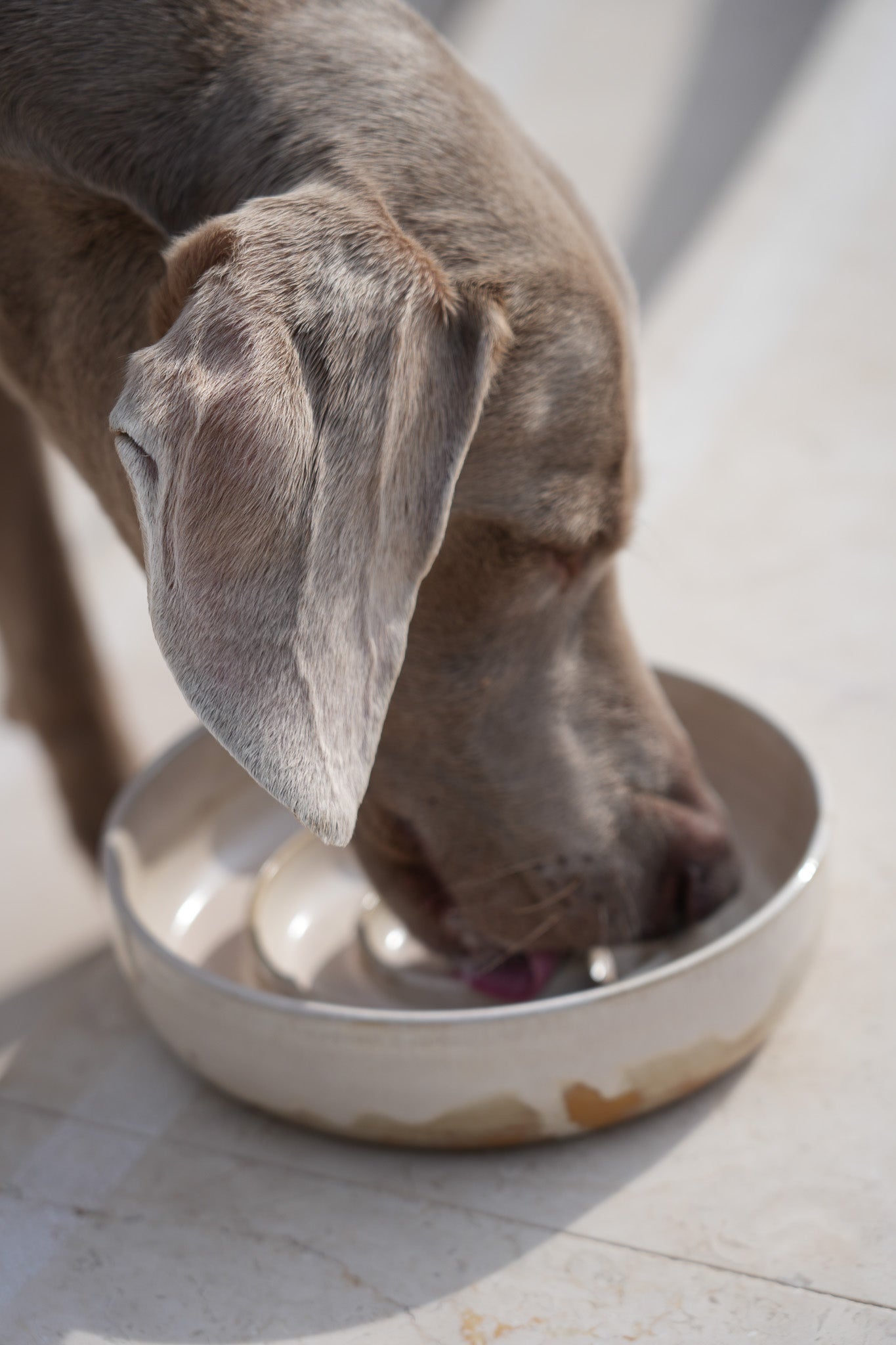 Handmade Ceramic Dog Slow Feeder Bowl by PawPaw