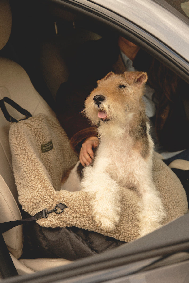 Car Seat for Dogs