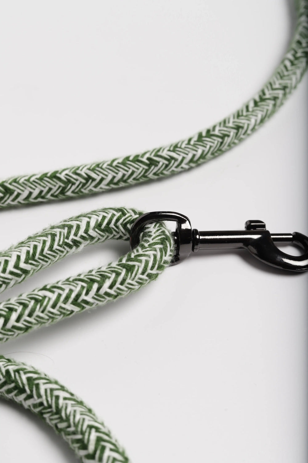 Laisse pour chien classique Corme