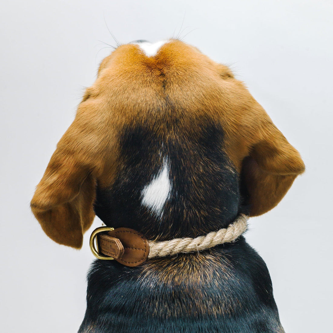 Collar para perro de poni campestre