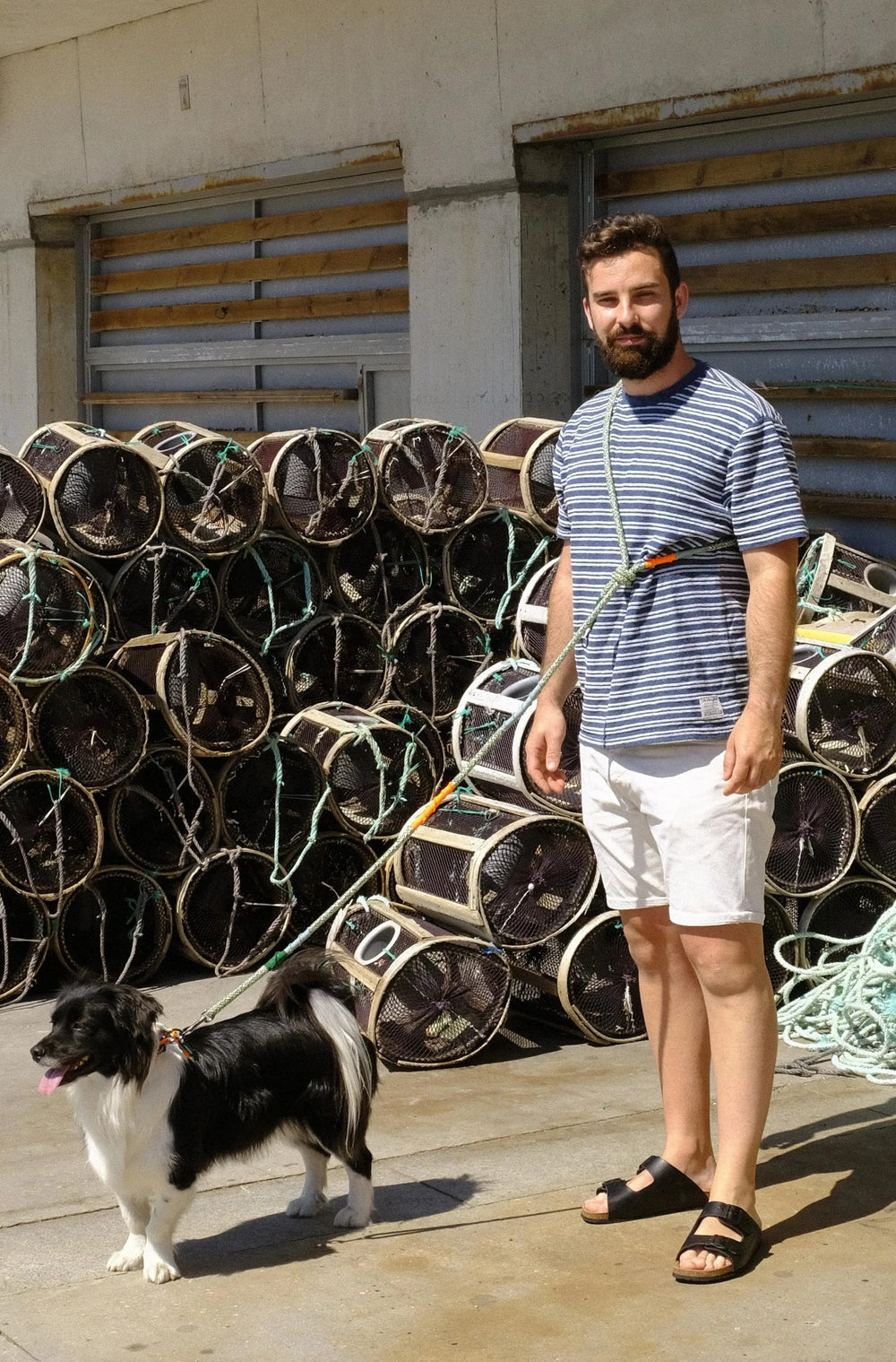 Laisse pour chien classique Corme