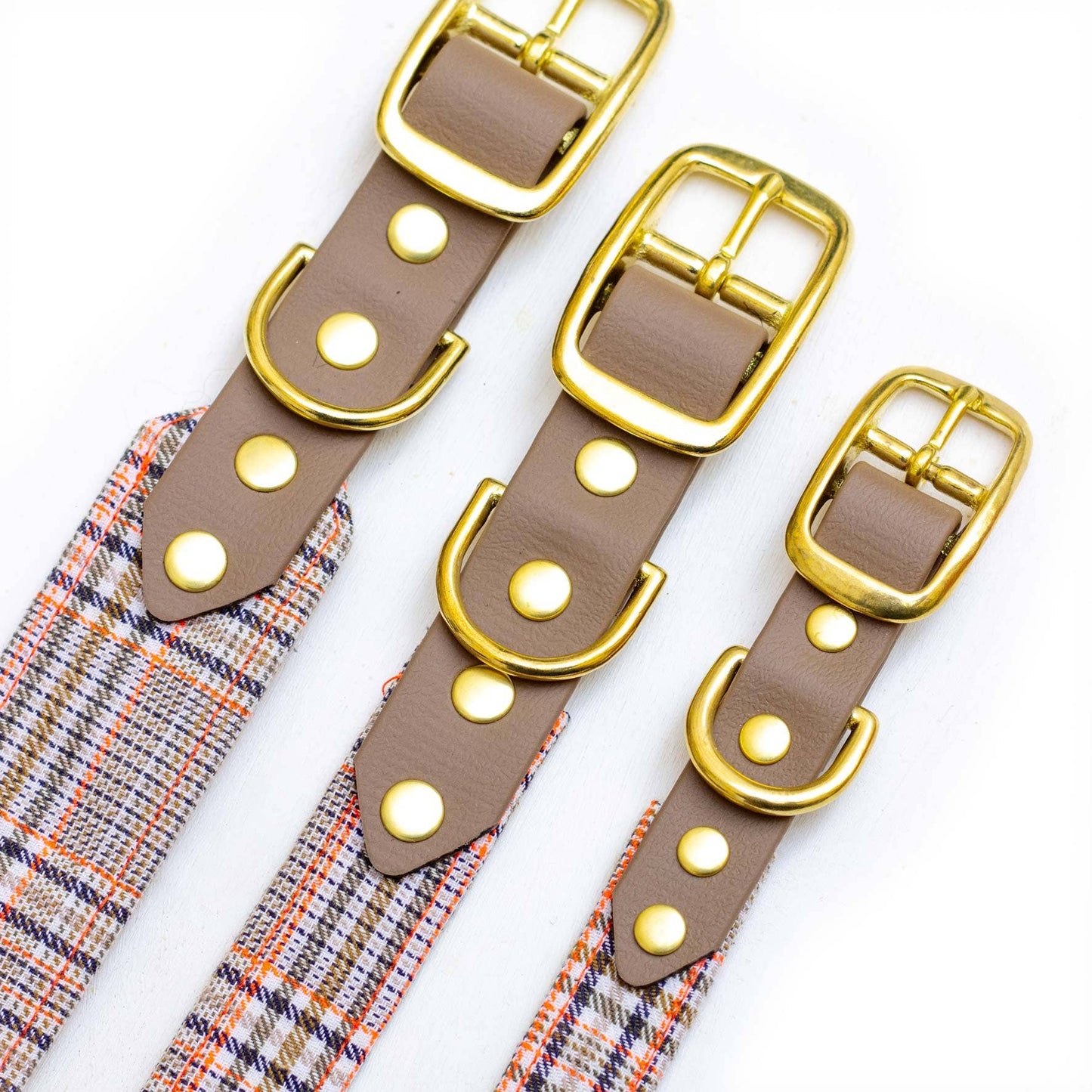 Baron dog collar