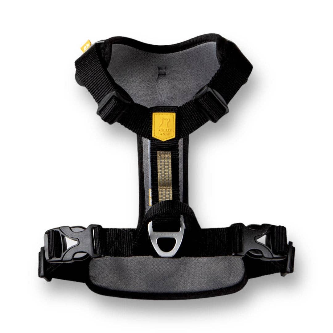 Roam Dog Harness