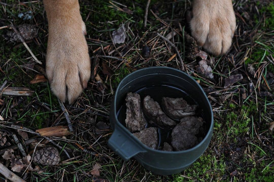 Freeze-dried Lamb Medallions