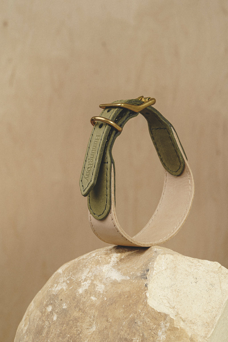 Pony Knotony Dog Collar