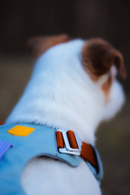 Alpha Dog Harness