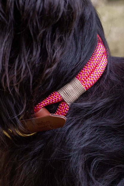 Rope dog collar