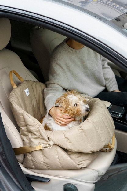 Siège d'auto pour chiens