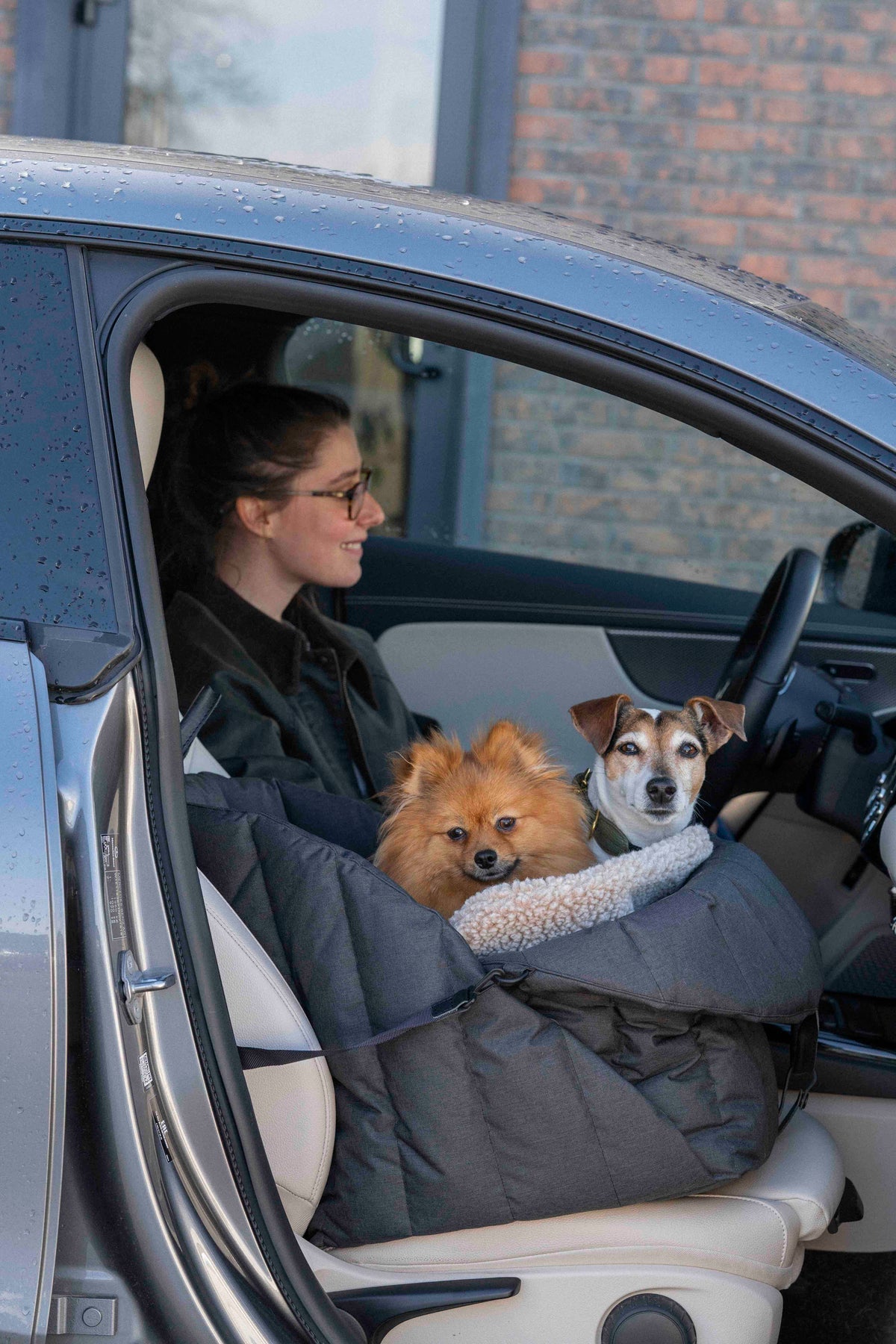 Siège d'auto pour chiens